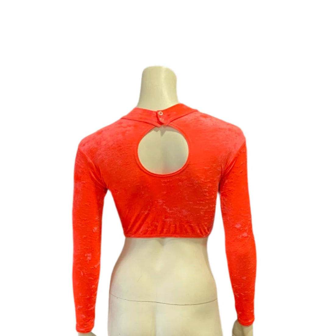 Jenetex Crushed Velour Long Sleeve Turtle Neck Crop Top