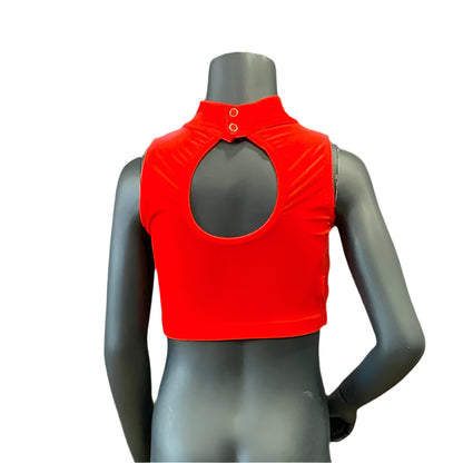 Jenetex Smooth Velour Turtle Neck Crop Top