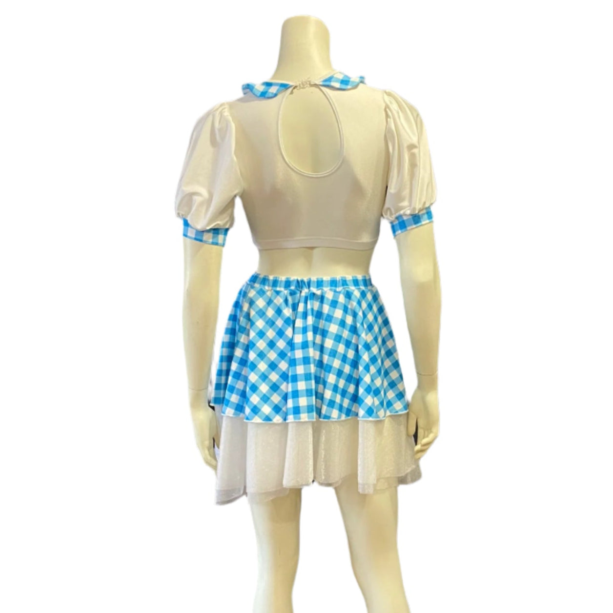 Jenetex Gingham Top & Skirt Set