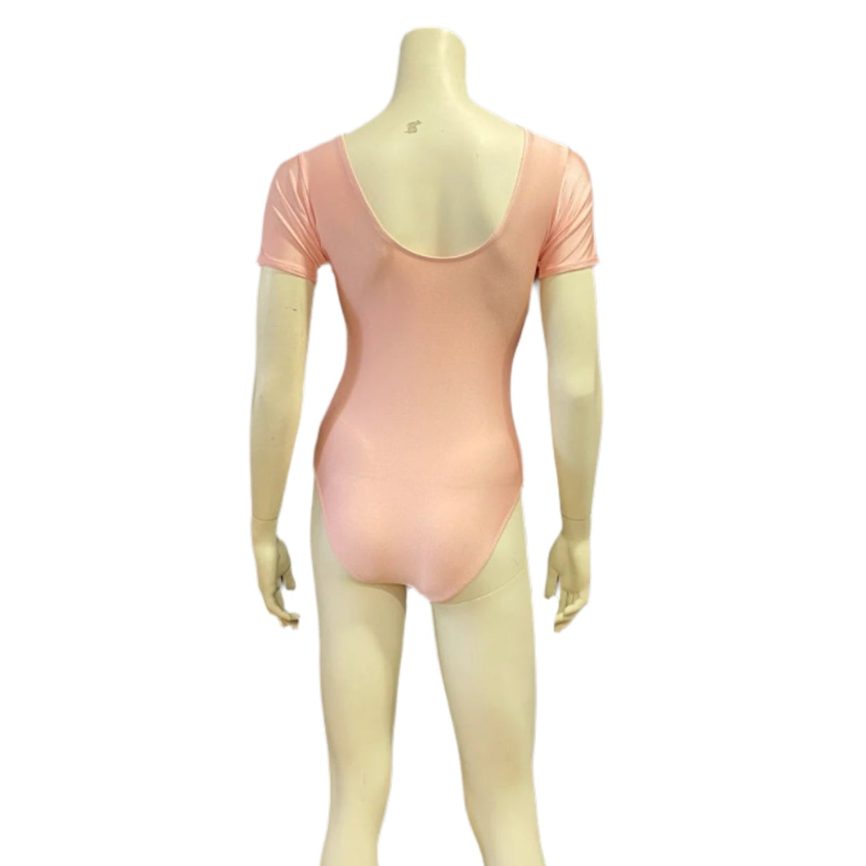 Roch Valley Cap Sleeve Nylon Lycra Ruche Front Leotard